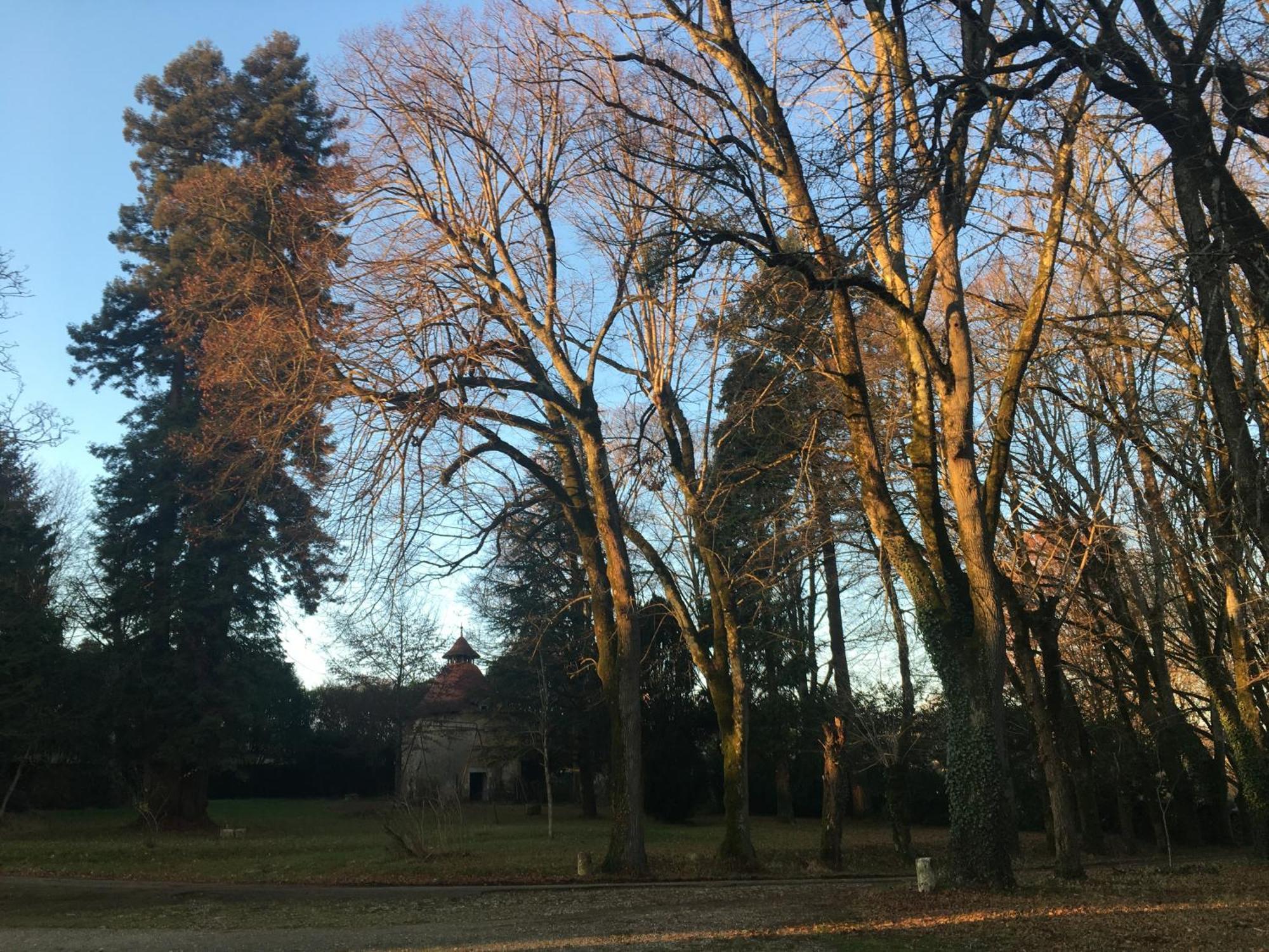 Chateau De Chasseneuil Sur Bonnieure Exteriör bild